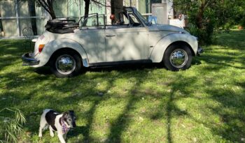 VOLKSWAGEN Maggiolino 1.3 cabrio   PERFETTA ** FRENI DISCO ANTERIORI* pieno