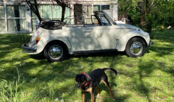 VOLKSWAGEN Maggiolino 1.3 cabrio   PERFETTA ** FRENI DISCO ANTERIORI* pieno